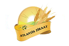 Atlastis Ziraat